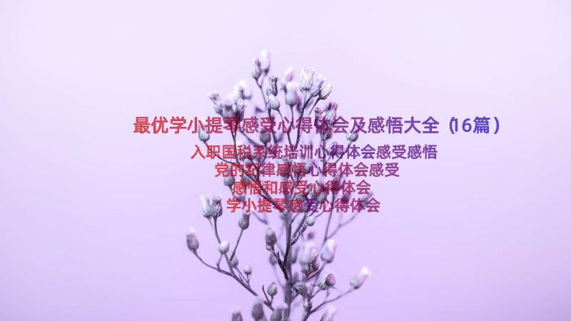 最优学小提琴感受心得体会及感悟大全（16篇）