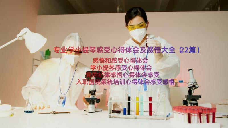 专业学小提琴感受心得体会及感悟大全（22篇）