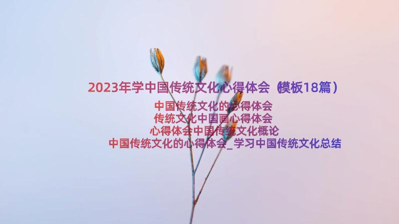 2023年学中国传统文化心得体会（模板18篇）