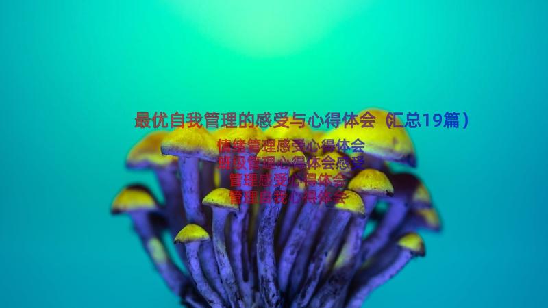 最优自我管理的感受与心得体会（汇总19篇）