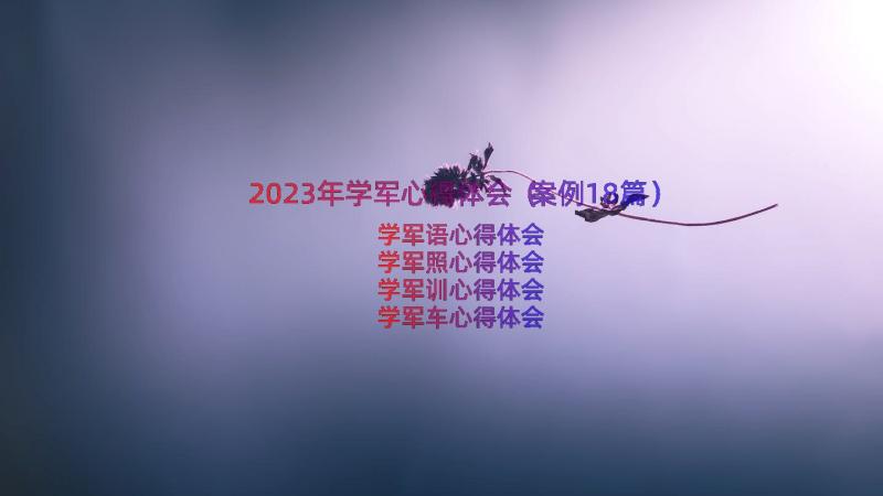 2023年学军心得体会（案例18篇）