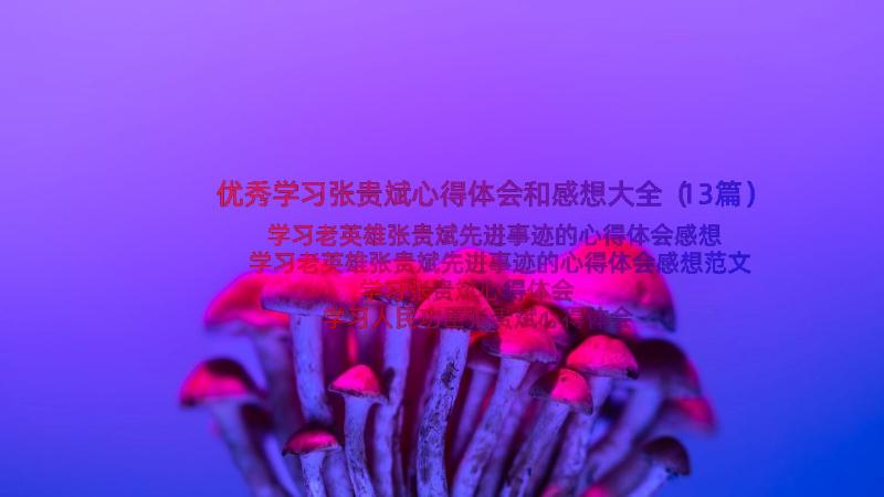 优秀学习张贵斌心得体会和感想大全（13篇）