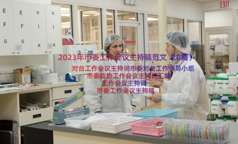 2023年市委工作会议主持稿范文（20篇）