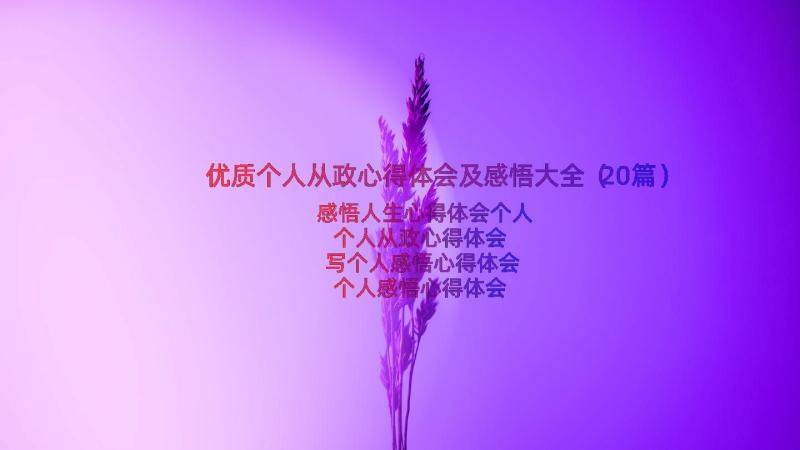 优质个人从政心得体会及感悟大全（20篇）