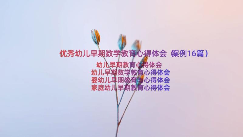 优秀幼儿早期数学教育心得体会（案例16篇）