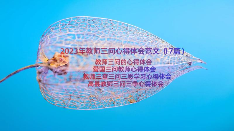 2023年教师三问心得体会范文（17篇）