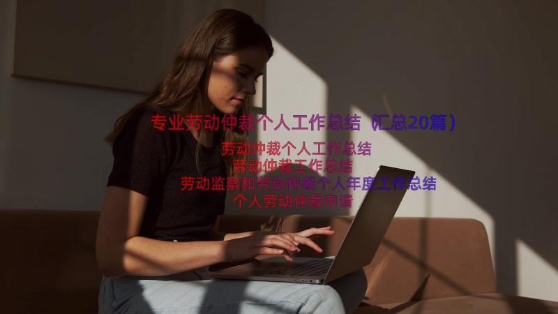 专业劳动仲裁个人工作总结（汇总20篇）