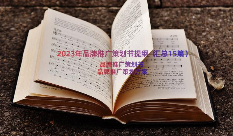 2023年品牌推广策划书提纲（汇总15篇）