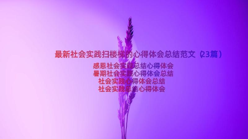 最新社会实践扫楼梯的心得体会总结范文（23篇）