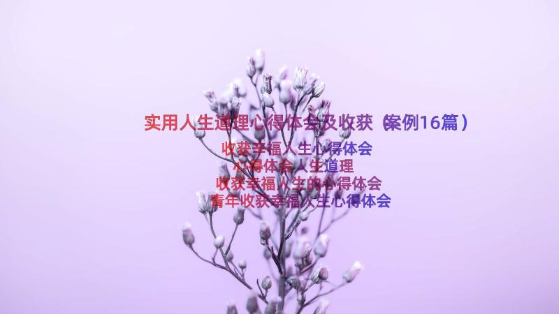 实用人生道理心得体会及收获（案例16篇）