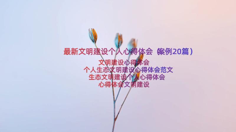 最新文明建设个人心得体会（案例20篇）