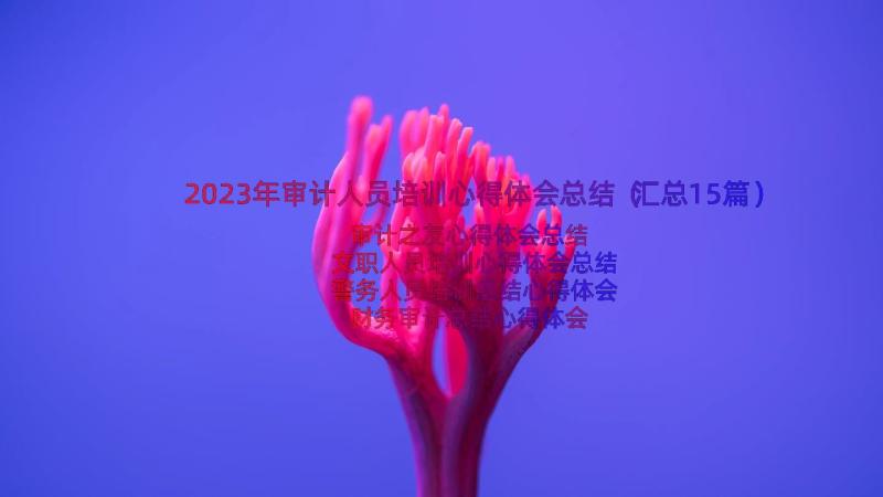 2023年审计人员培训心得体会总结（汇总15篇）