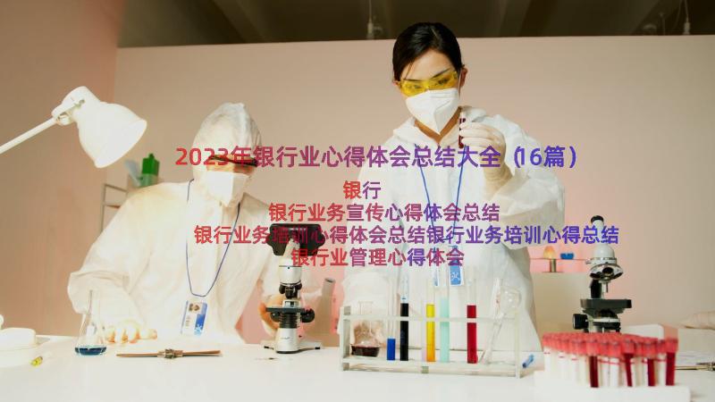 2023年银行业心得体会总结大全（16篇）