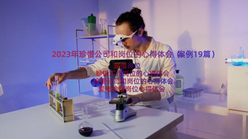 2023年珍惜公司和岗位的心得体会（案例19篇）