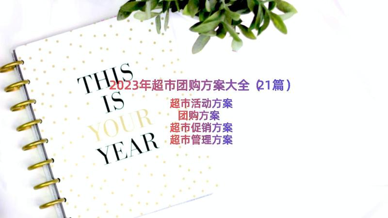 2023年超市团购方案大全（21篇）