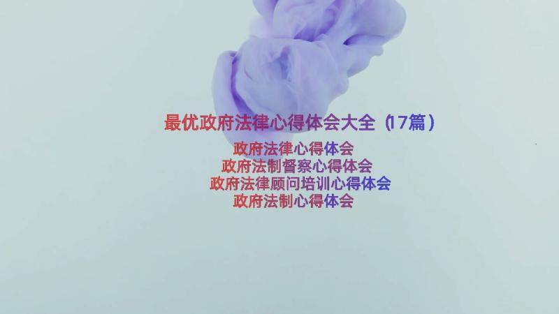 最优政府法律心得体会大全（17篇）