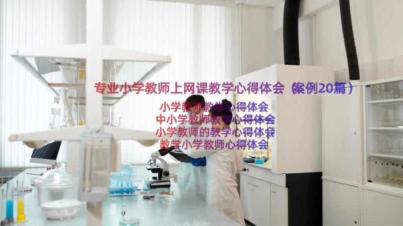 专业小学教师上网课教学心得体会（案例20篇）