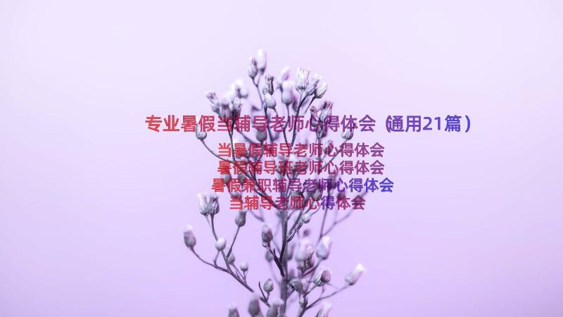 专业暑假当辅导老师心得体会（通用21篇）