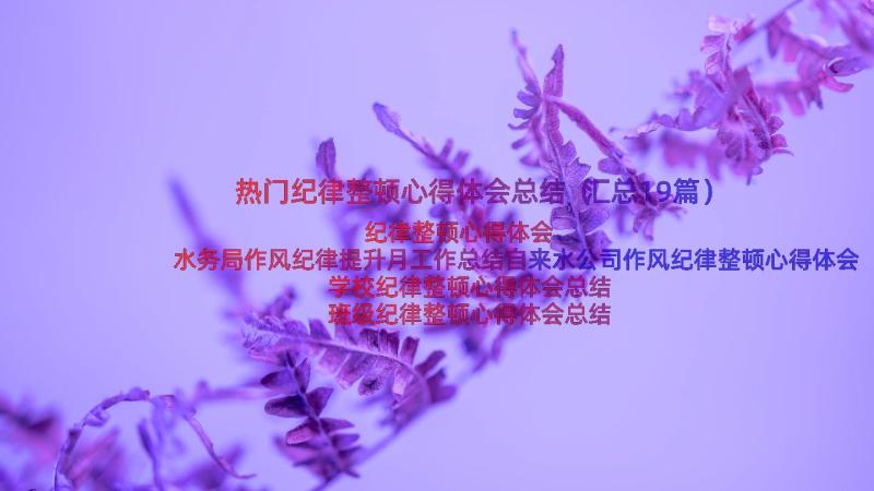 热门纪律整顿心得体会总结（汇总19篇）