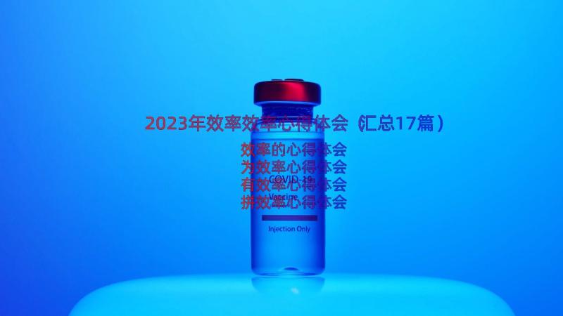 2023年效率效率心得体会（汇总17篇）