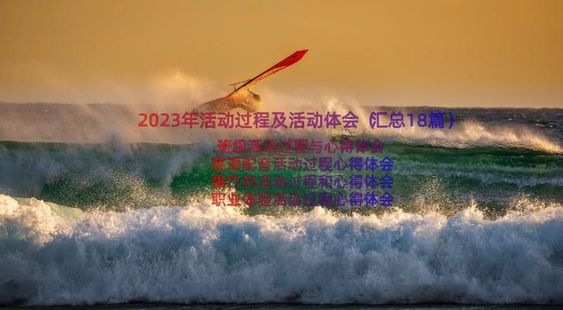 2023年活动过程及活动体会（汇总18篇）