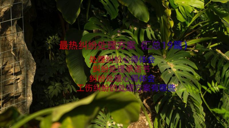 最热纠纷处理方案（汇总19篇）