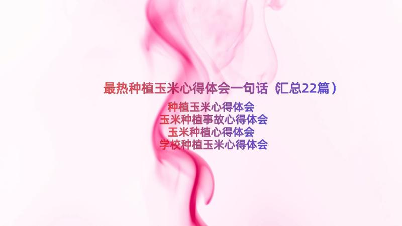 最热种植玉米心得体会一句话（汇总22篇）