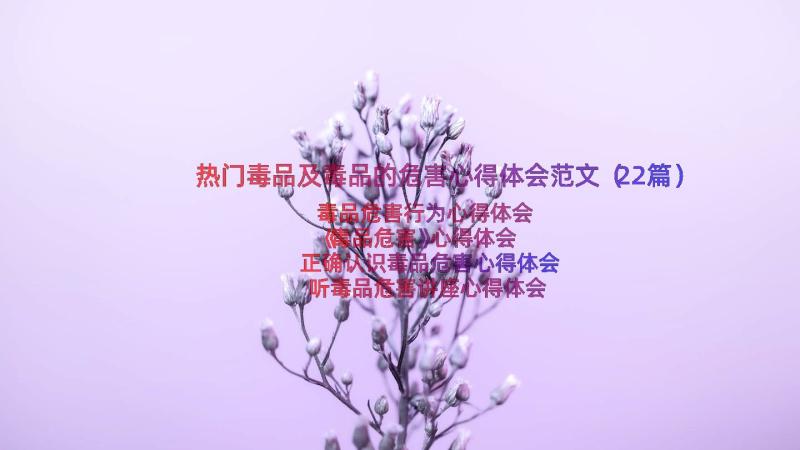 热门毒品及毒品的危害心得体会范文（22篇）