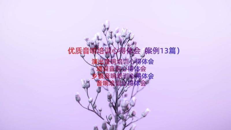 优质音响培训心得体会（案例13篇）