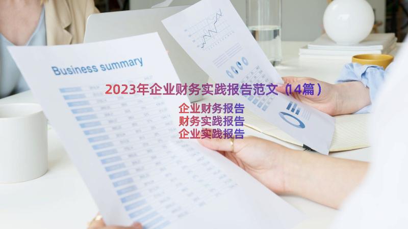 2023年企业财务实践报告范文（14篇）