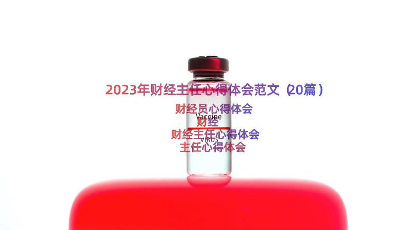 2023年财经主任心得体会范文（20篇）