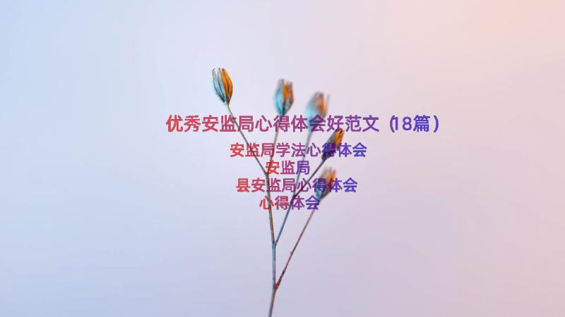 优秀安监局心得体会好范文（18篇）