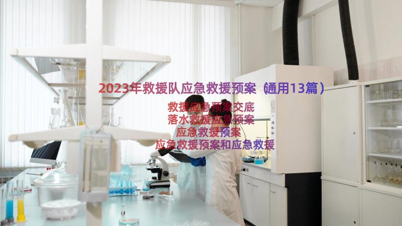 2023年救援队应急救援预案（通用13篇）