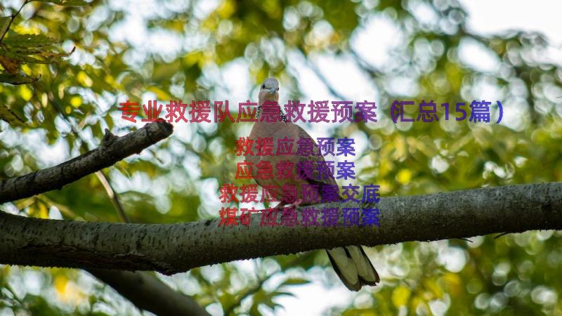 专业救援队应急救援预案（汇总15篇）