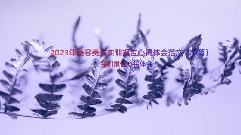 2023年美容美体实训报告心得体会范文（20篇）