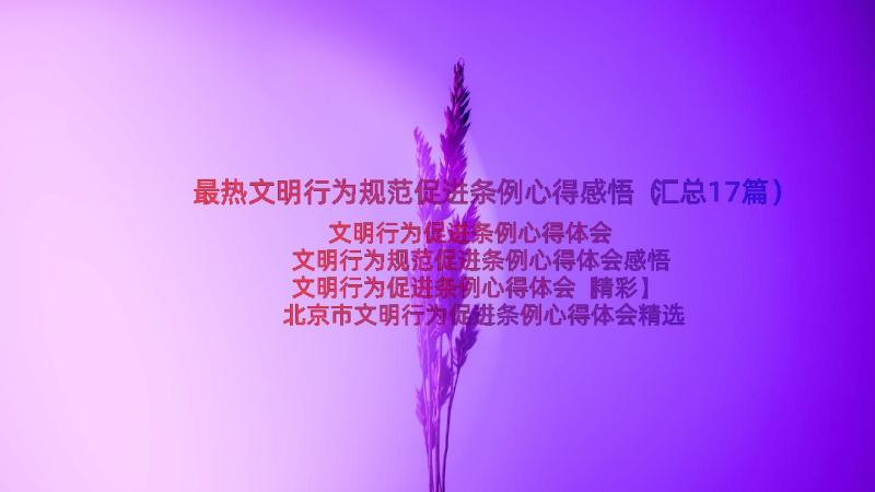 最热文明行为规范促进条例心得感悟（汇总17篇）