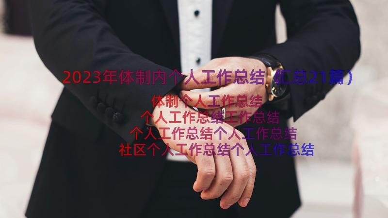 2023年体制内个人工作总结（汇总21篇）