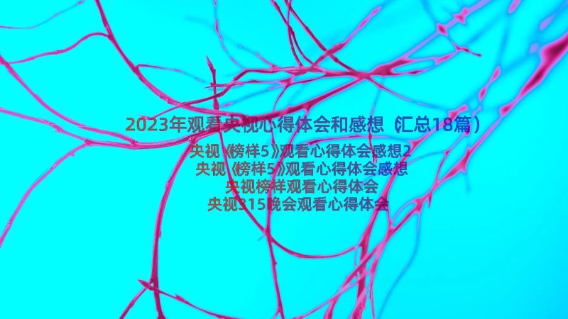 2023年观看央视心得体会和感想（汇总18篇）