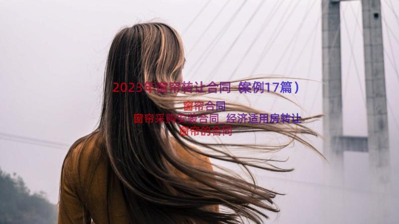 2023年窗帘转让合同（案例17篇）