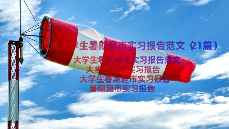 优质大学生暑期超市实习报告范文（21篇）