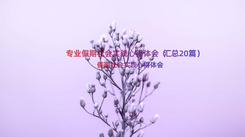 专业假期社会实践心得体会（汇总20篇）