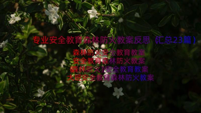 专业安全教育森林防火教案反思（汇总23篇）