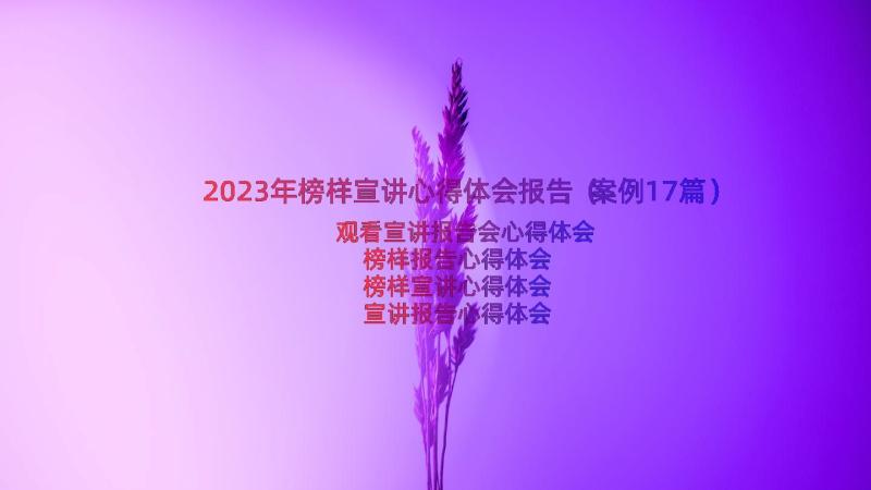 2023年榜样宣讲心得体会报告（案例17篇）