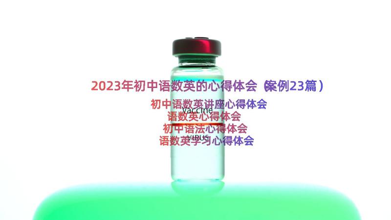 2023年初中语数英的心得体会（案例23篇）