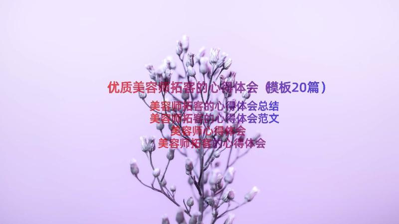 优质美容师拓客的心得体会（模板20篇）