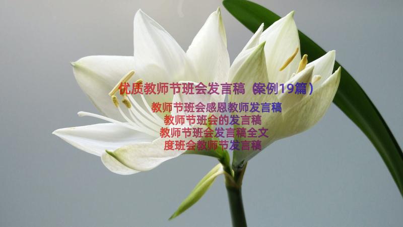 优质教师节班会发言稿（案例19篇）