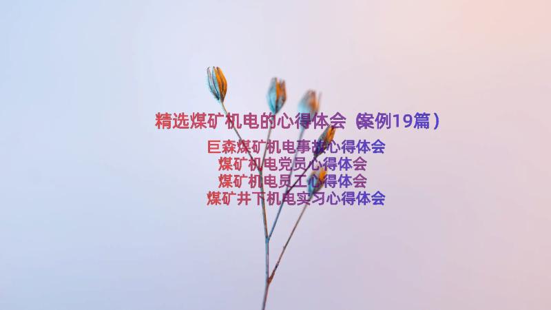 精选煤矿机电的心得体会（案例19篇）