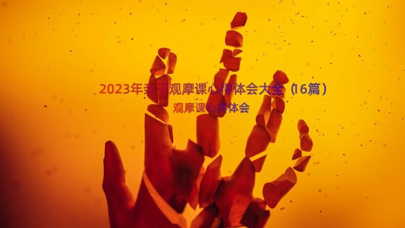 2023年亲子观摩课心得体会大全（16篇）