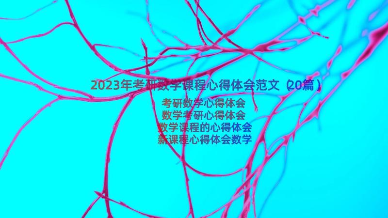 2023年考研数学课程心得体会范文（20篇）