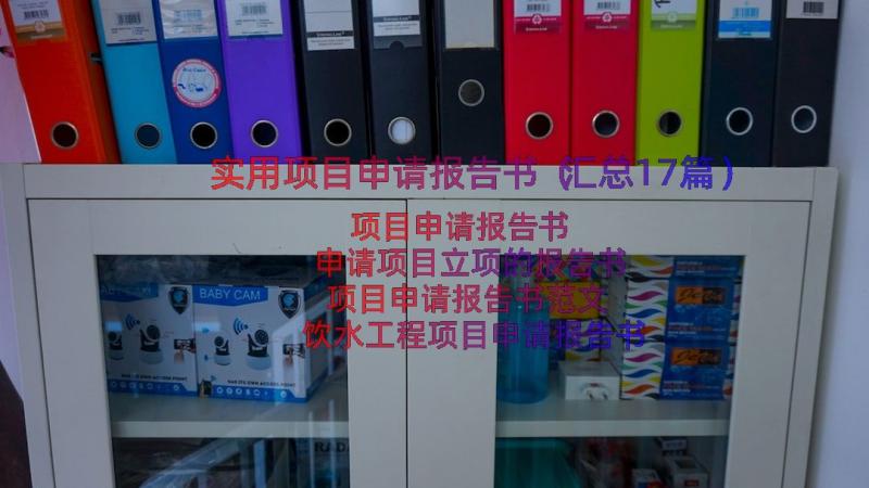 实用项目申请报告书（汇总17篇）